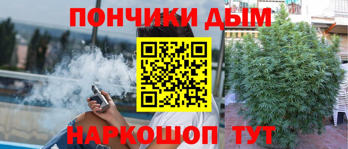 Шишки марихуана Amnesia  Каннабис AK-47  МАРИХУАНА сатива  Кимовск  Бошки марихуана марихуана  Вход с VPN 